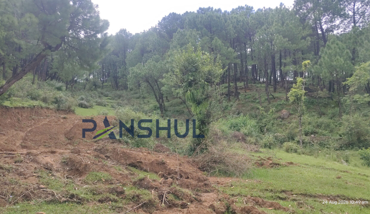Kandbari-Land-Panshul-4
