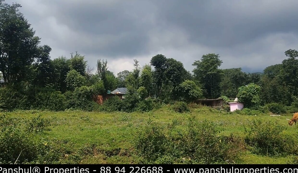 11 Kanal Land Nagri 2